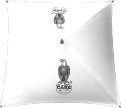 Case - C4CW