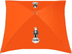 Case - C4C